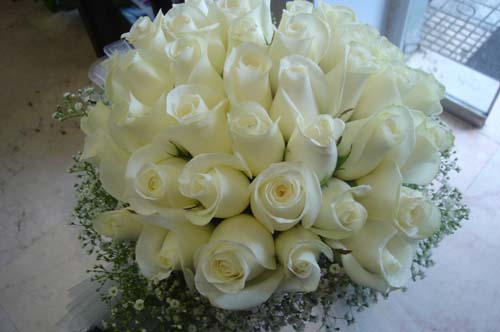 bridal flower