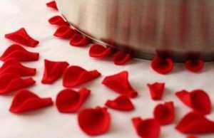 DIY-yastik susleme_yapimi